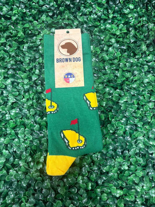 brown dog green and yellow masters socks