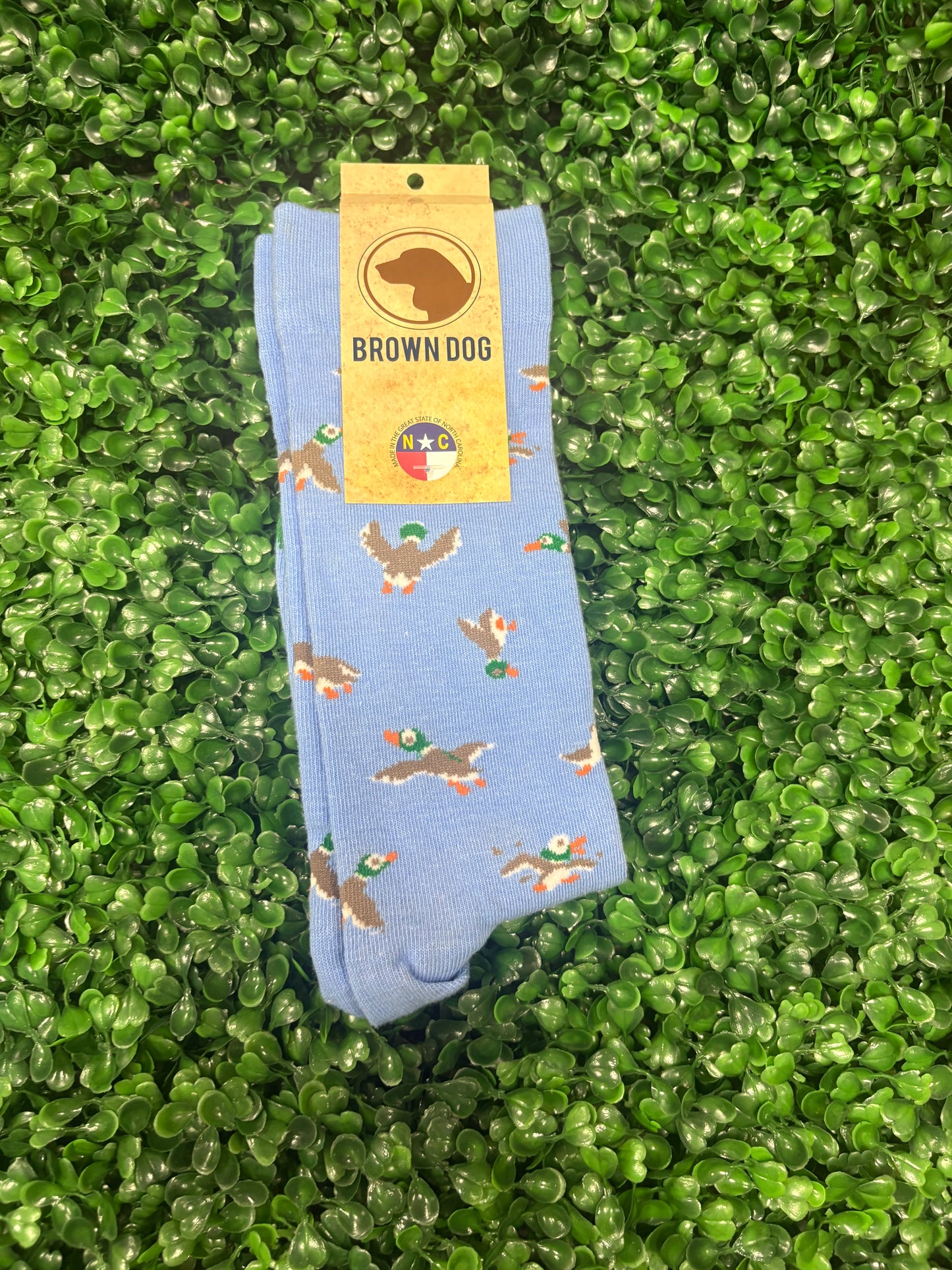 Brown dog light blue duck socks