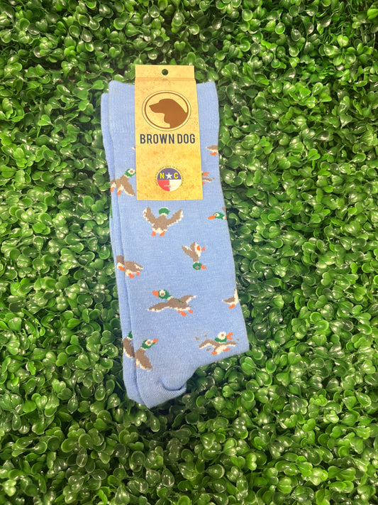 Brown dog light blue duck socks
